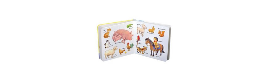 Ministeps Bücher